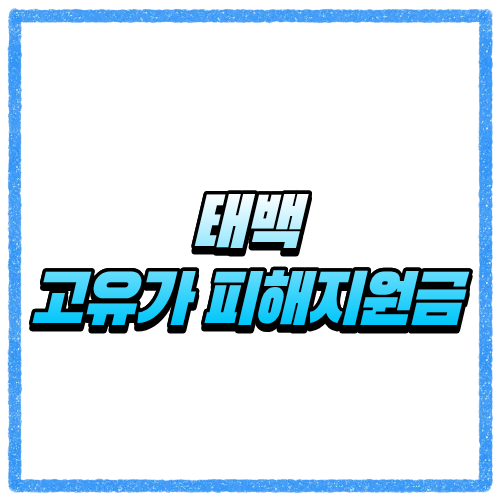 강원 태백시 고유가 피해지원금 신청방법, 대상 조회와 지급 기준 바로 확인